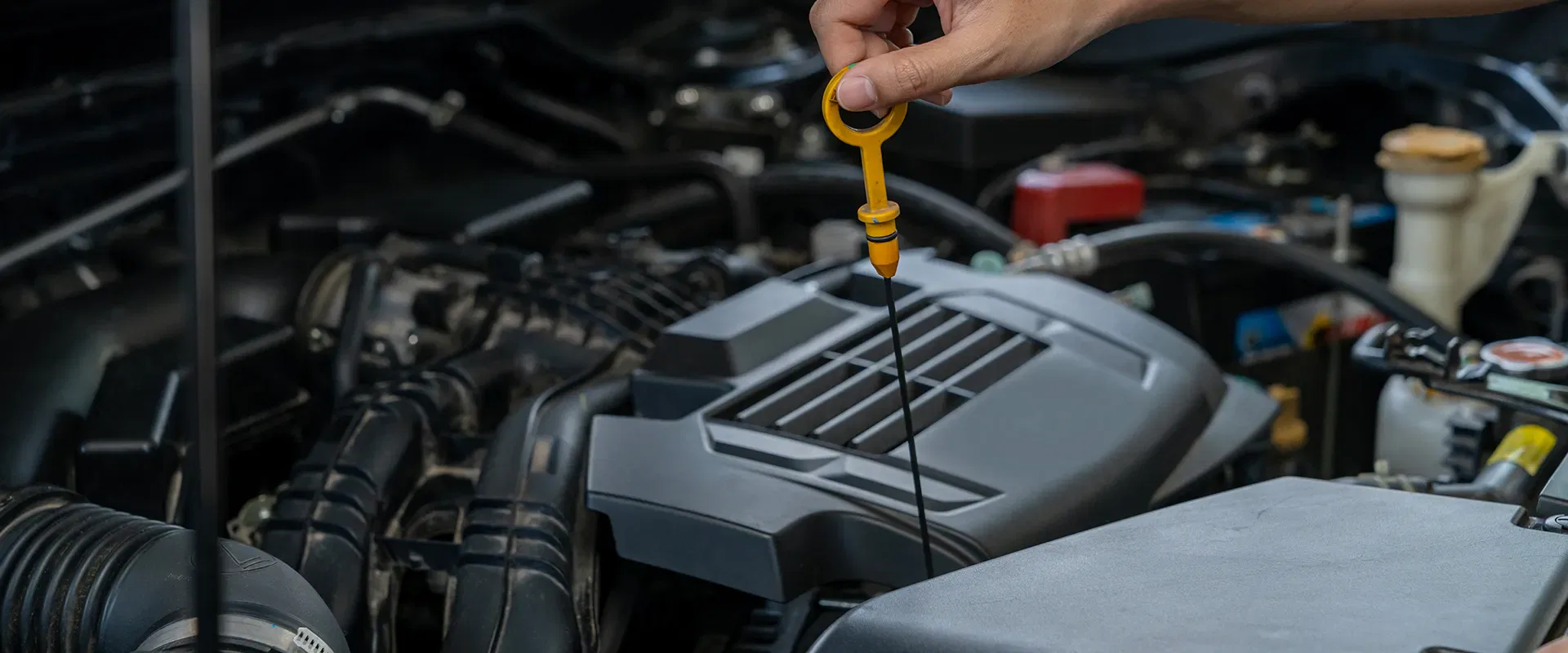Transmission Fluid Service near Sarasota, FL