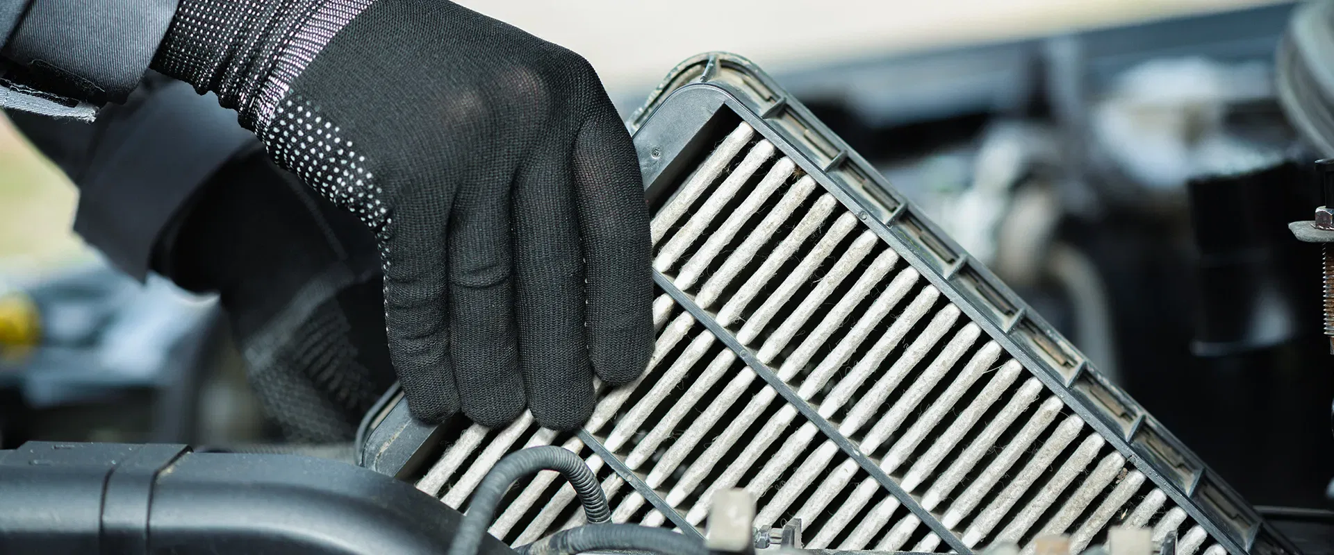 Fluid Service near Sarasota, FL