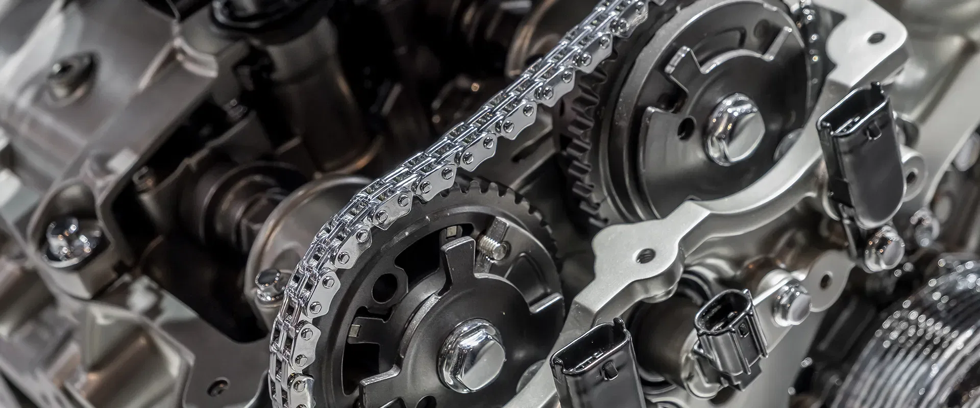 Timing Chains near Sarasota, FL